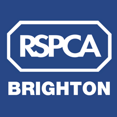 RSPCA Sussex North & Brighton Branch